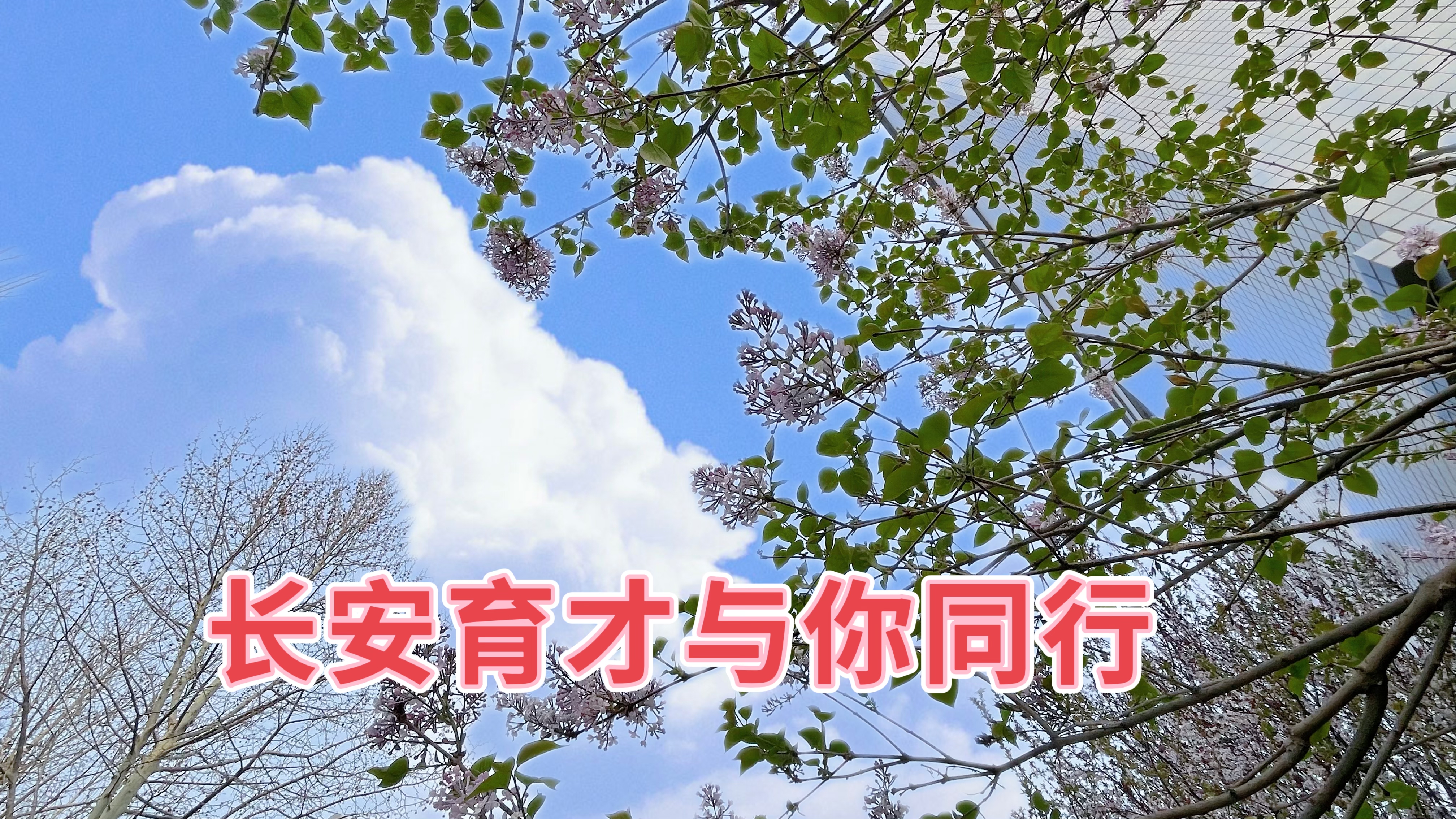 春分‖春日好時(shí)光，攜手共同行